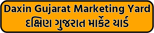 South gujarat market yard – દક્ષિણ ગુજરાત માર્કેટિંગ યાર્ડ ભાવ